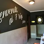 7 Vizi