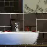 B&B 7 Vizi 콜라